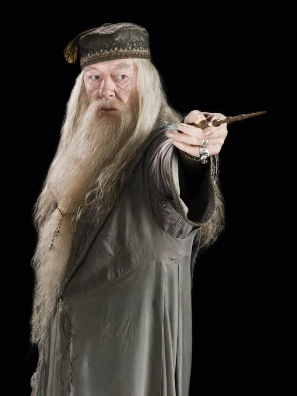 Dumbledore_baguette-de-sureau
