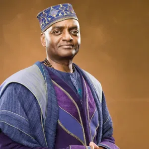 kingsley-shacklebolt