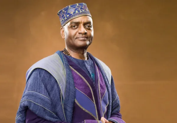 kingsley-shacklebolt