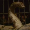 nagini